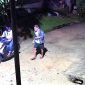Oplus_16908288