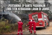 Oplus_16908288